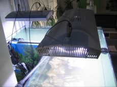 MORSKI AKVARIJ OBLIKE L 1400L  1 HQI in T5 luci morskega akvarija