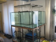 MORSKI AKVARIJ OBLIKE L 1400L  1 izdelava akvarija