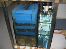 MORSKI AKVARIJ OBLIKE L 1400L  1 osmoza ter avtomatika dolivanja vode
