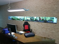 MORSKI AKVARIJ DOLZINE 5m  4 AKVARIJ V PISARNI