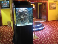 MORSKI AKVARIJ VELIKOSTI 400L  AQUARIUM TANK