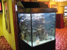 MORSKI AKVARIJ VELIKOSTI 400L  SEA WATER AQUARIUM