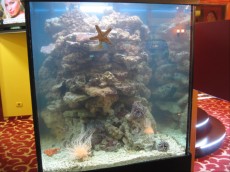 MORSKI AKVARIJ VELIKOSTI 400L  casino