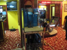 MORSKI AKVARIJ VELIKOSTI 400L  postavitev akvarija