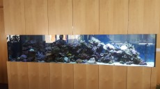 MORSKI AKVARIJ DOLZINE 321cm 20160929 100108