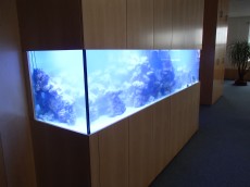 MORSKI AKVARIJ DOLZINE 321cm 4 morski akvarij AQUA-RO-DESIGN