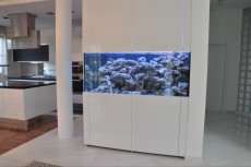 MORSKI AKVARIJ VELIKOSTI 900L 2 AQUA-RO-DESIGN zoo trgovina