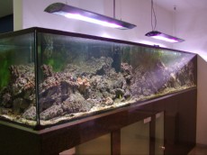 MORSKI AKVARIJ - 3500L AQUA-RO-DESIGN