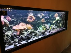 MORSKI AKVARIJ - 2023L   blenda za akvarij