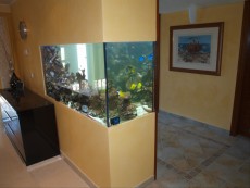 MORSKI AKVARIJ VELIKOSTI 1230L AQUA-RO-DESIGN