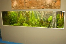 SLADKOVODEN AKVARIJ z 3D ozadjem  3D OZADJE - akvarij
