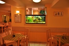 SLADKOVODEN AKVARIJ - javni prostor pizzerija SLADKOVODEN AKVARIJ - javni prostor pizzerija