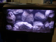 SLADKOVODEN AKVARIJ - razni AQUA-RO-DESIGN 3D ozadje