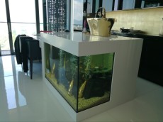 SLADKOVODEN AKVARIJ - razni AQUA-RO-DESIGN atrakcija