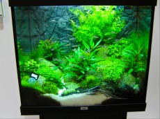 SLADKOVODEN AKVARIJ - razni AQUA-RO-DESIGN filter