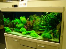 SLADKOVODEN AKVARIJ - razni AQUA-RO-DESIGN hranilnik