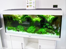 SLADKOVODEN AKVARIJ - razni AQUA-RO-DESIGN juwel
