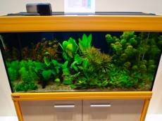 SLADKOVODEN AKVARIJ - razni AQUA-RO-DESIGN omara za akvarij
