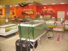 SLADKOVODEN AKVARIJ - razni AQUA-RO-DESIGN postrvi