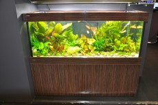SLADKOVODEN AKVARIJ - razni AQUA-RO-DESIGN prodaja