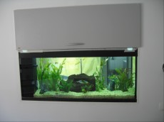SLADKOVODEN AKVARIJ - razni AQUA-RO-DESIGN voda