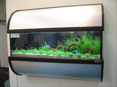 SLADKOVODEN AKVARIJ - razni WALL AQUARIUM