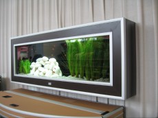 SLADKOVODEN AKVARIJ - razni WAND AQUARIUM