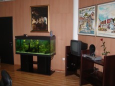 SLADKOVODEN AKVARIJ - razni akvarij MP karat 450