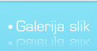 Galerija slik